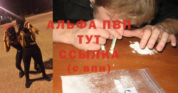 Альфа ПВП Арсеньев